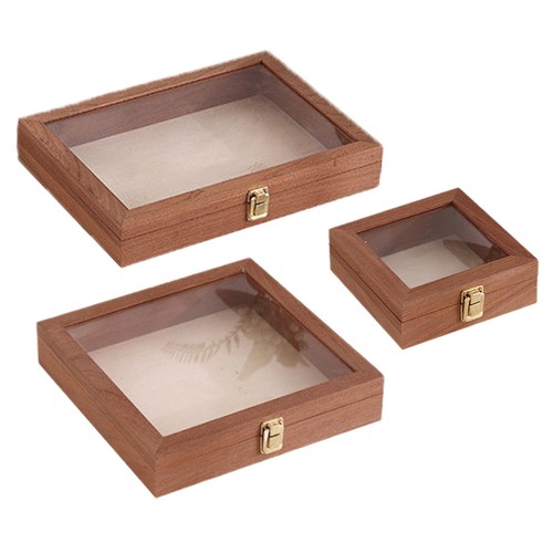 Specimen display box wooden - display,
